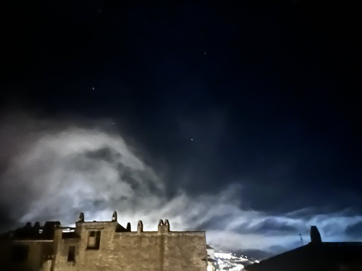 kissing pigs tweet media