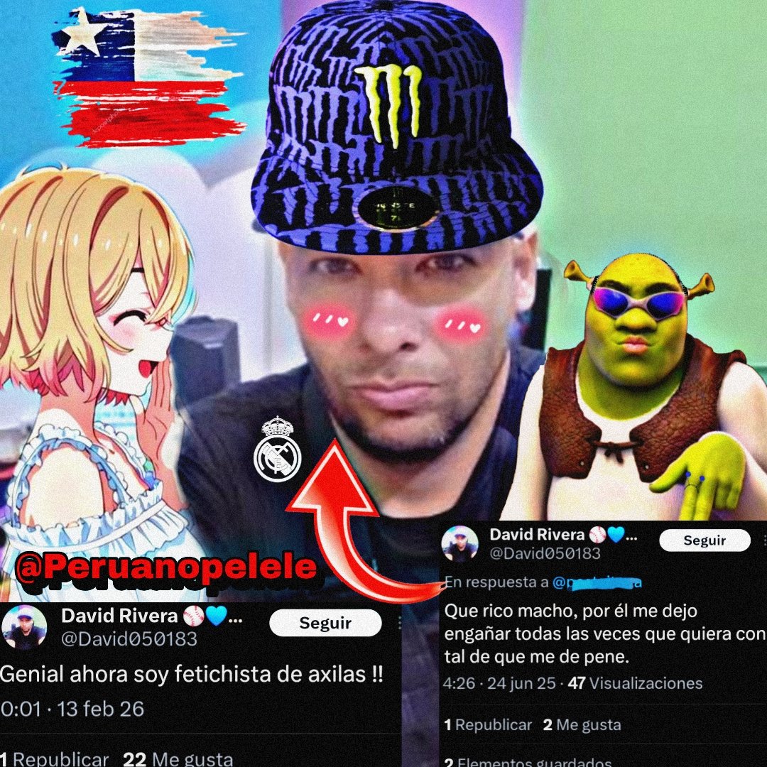 Pajəros con waifus II tweet media