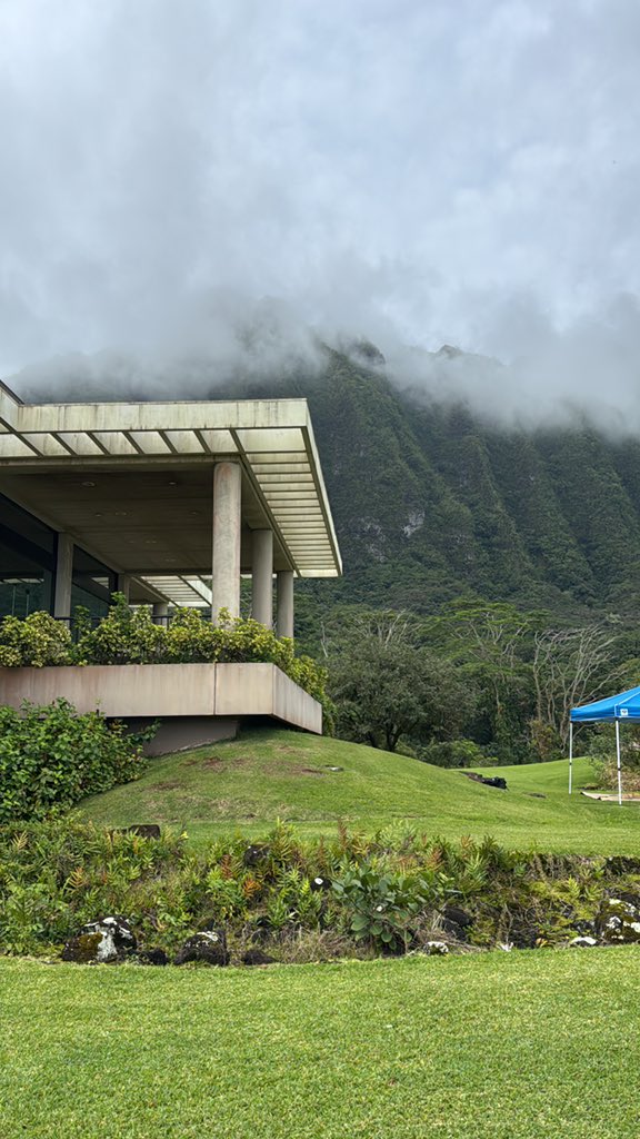 Bryan Wan tweet media