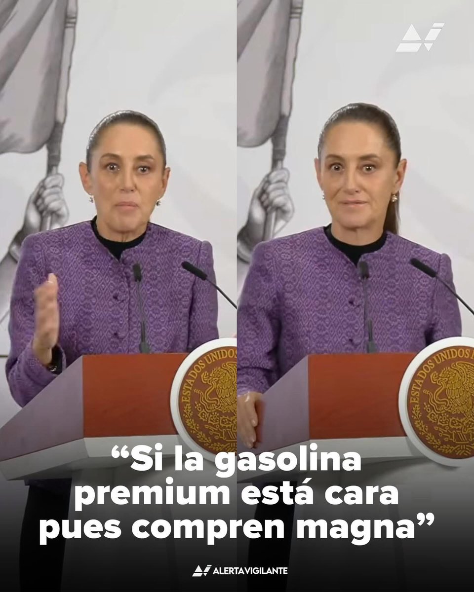 A L e 𝕏 tweet media