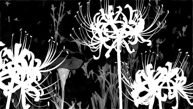 黒 ; 𝐊𝐔𝐑𝐎 tweet media