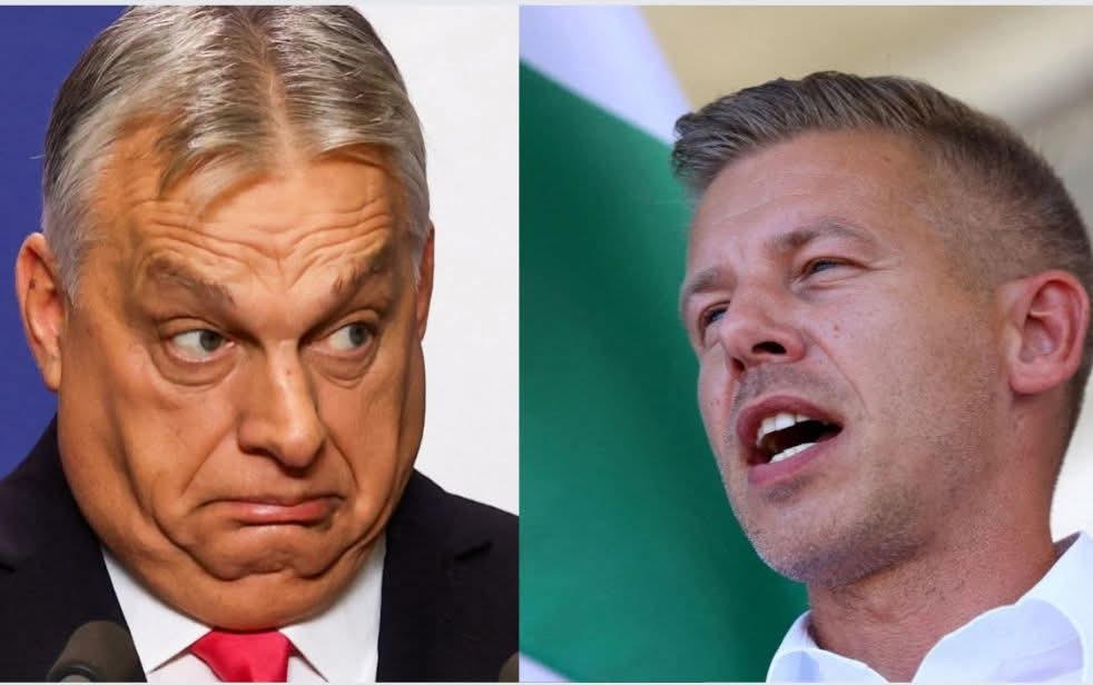 Gosia Hebzie tweet media