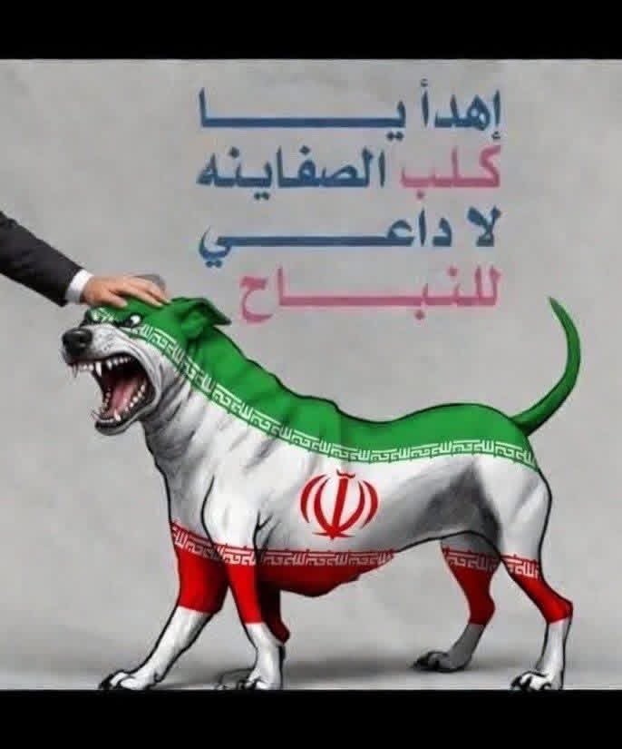 Abo.Noor.973 tweet media