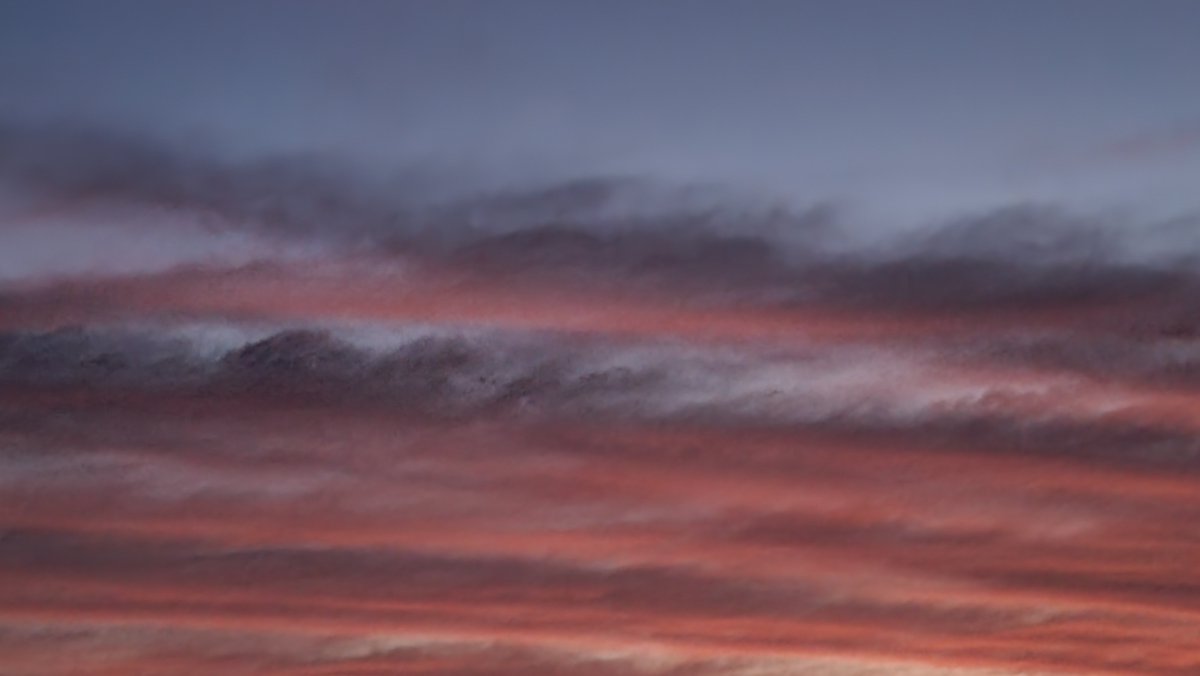 綺麗な朝焼け。(写真じゃ完璧に伝わらないけれど)