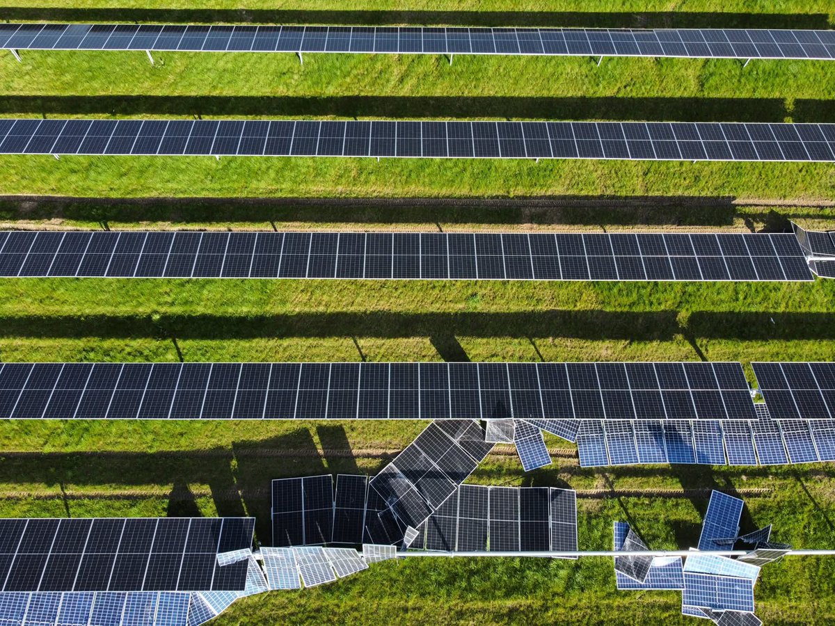 CorrupttPlanet's tweet photo. @BecksBoxer @Ed_Miliband @neso Exact same in #NorthYorkshire under the very shadow of #Drax #DraxPowerStation
This fucking idiot needs removing
#Solatlr #SolarFarm #SolarPark
Fuck with nature and it fights back #DeadSillyband #EdCase #NutZero #MadEd #CrazyEd #NetZero #NetFuckingZero https://t.co/1D0gHizxNS