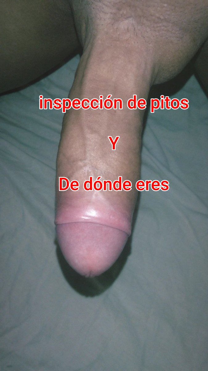 fani,kike, hotwafe y cornudo tweet media