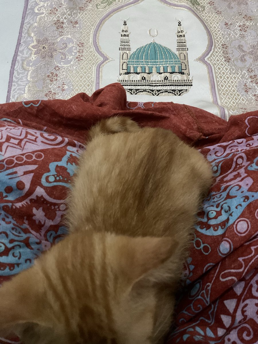 Fifiiiii tweet media