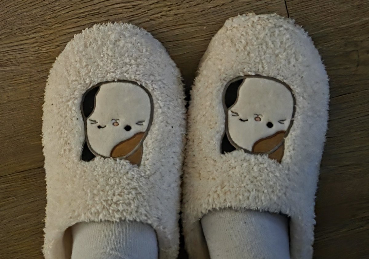 Lu Guang tweet media