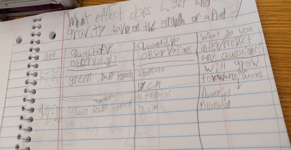 Mrs. C. tweet media