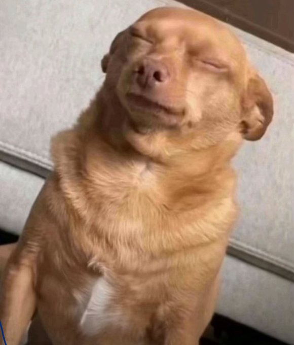 Who loose me no loose anything oo

Infact na God save you