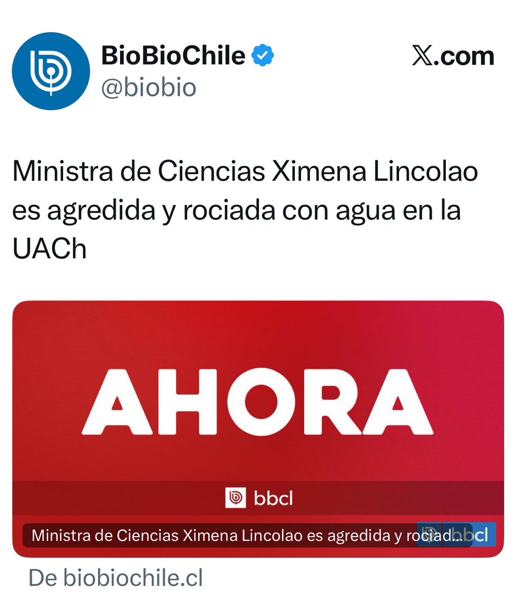 Isabel Plá J. tweet media