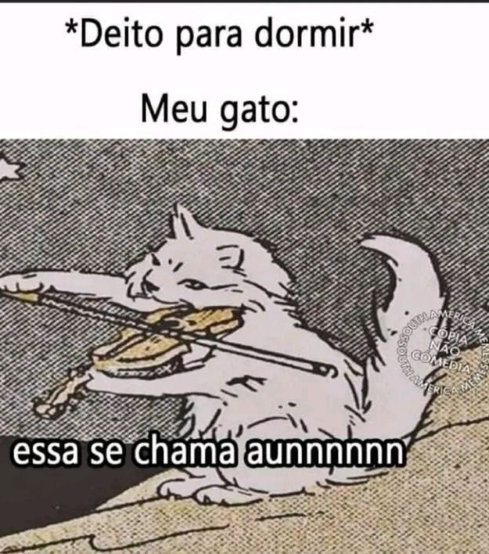 Se você rir, vai pro inferno tweet media