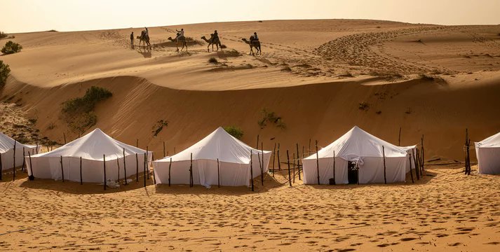 SnOOpDawg tweet media