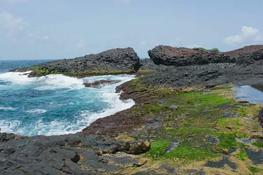 SnOOpDawg tweet media