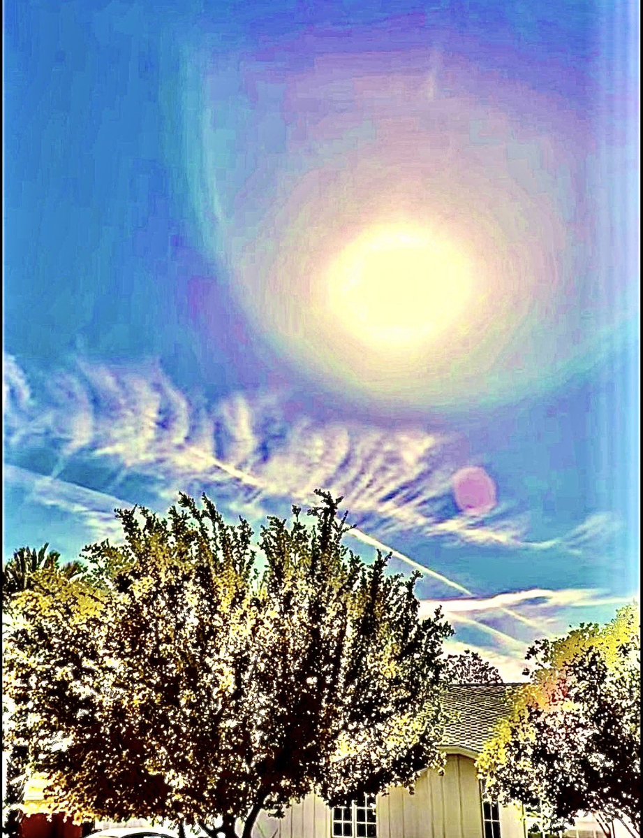 lydia sweetland tweet media