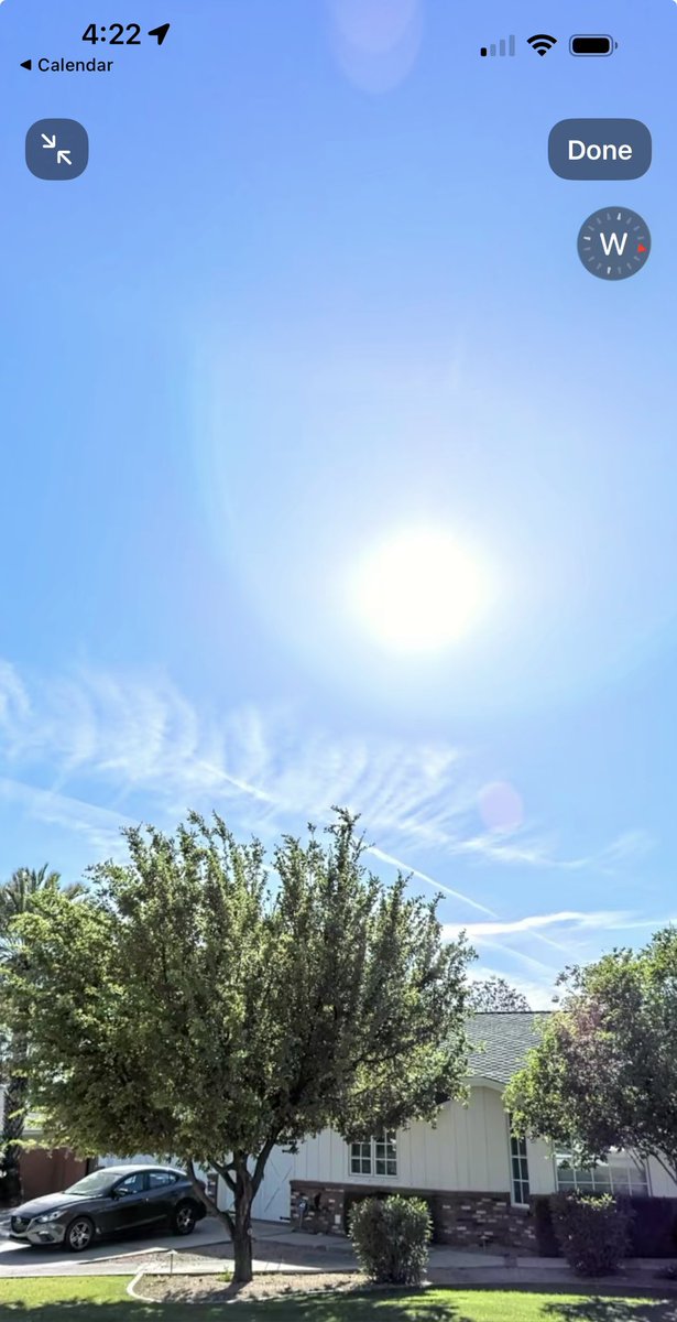 lydia sweetland tweet media