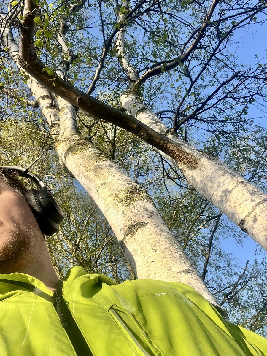 А это я сегодня березки обнимал и кусал их чтобы испить сока.