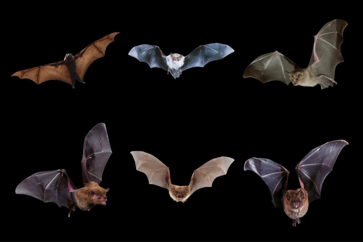 𖥔 ࣪˖ 𝓓𝓪𝔂𝓼𝓲 ⏾*:･ tweet media