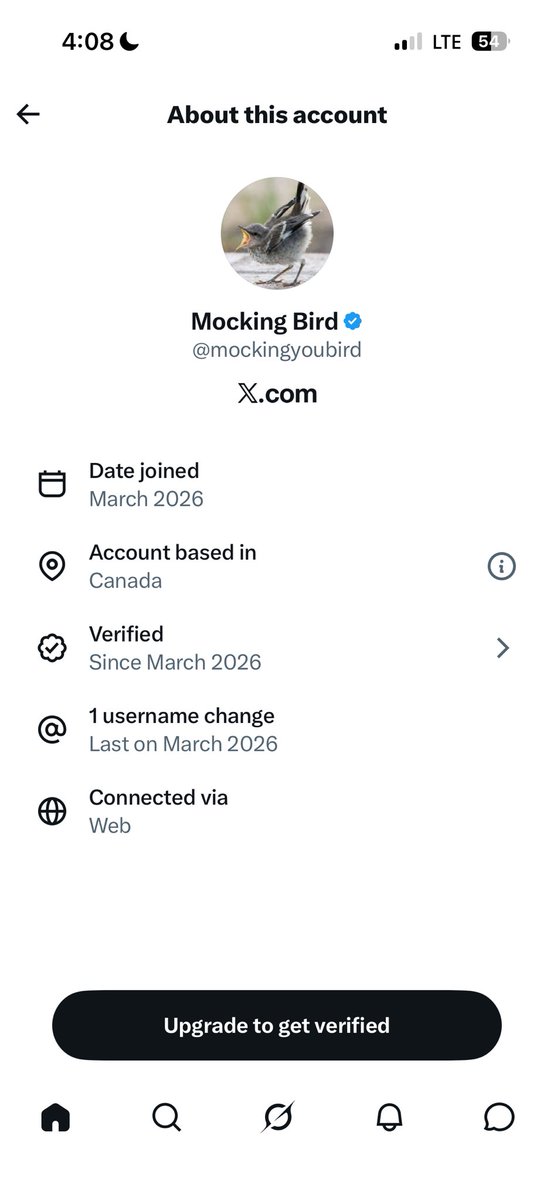 Boxing First Finance First tweet media