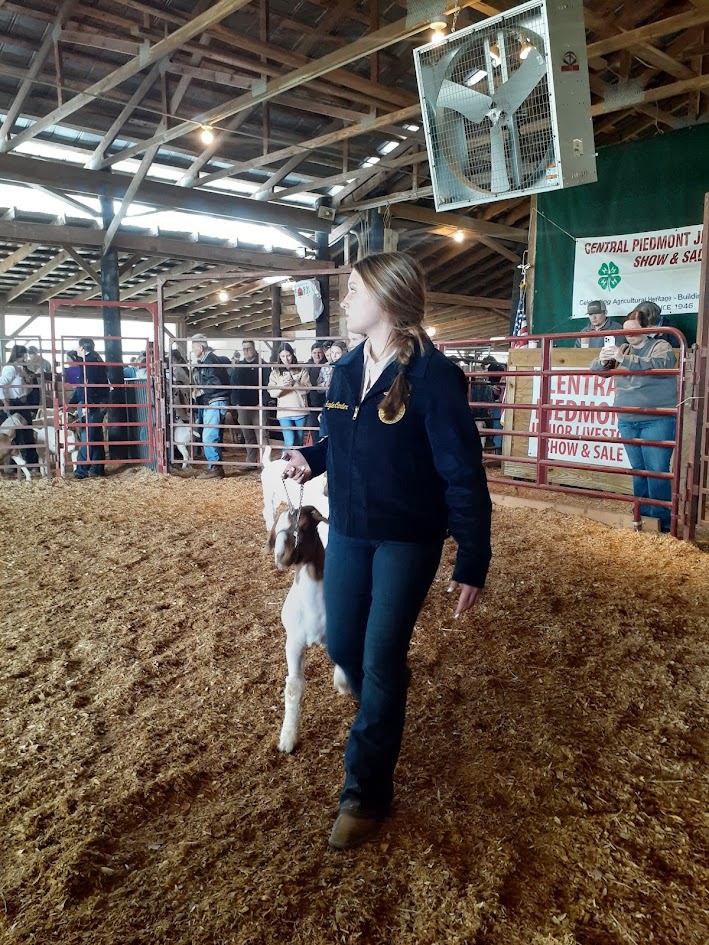 🍊Orange County Schools CTE tweet media