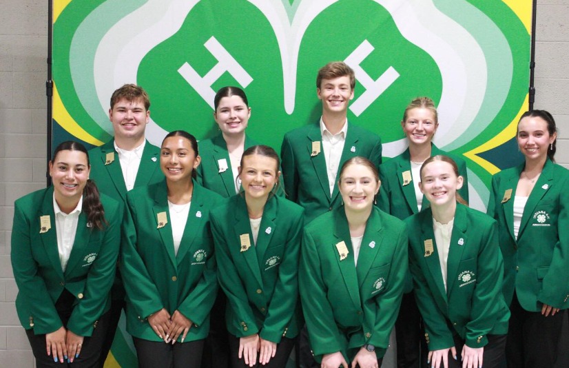 Indiana 4-H tweet media