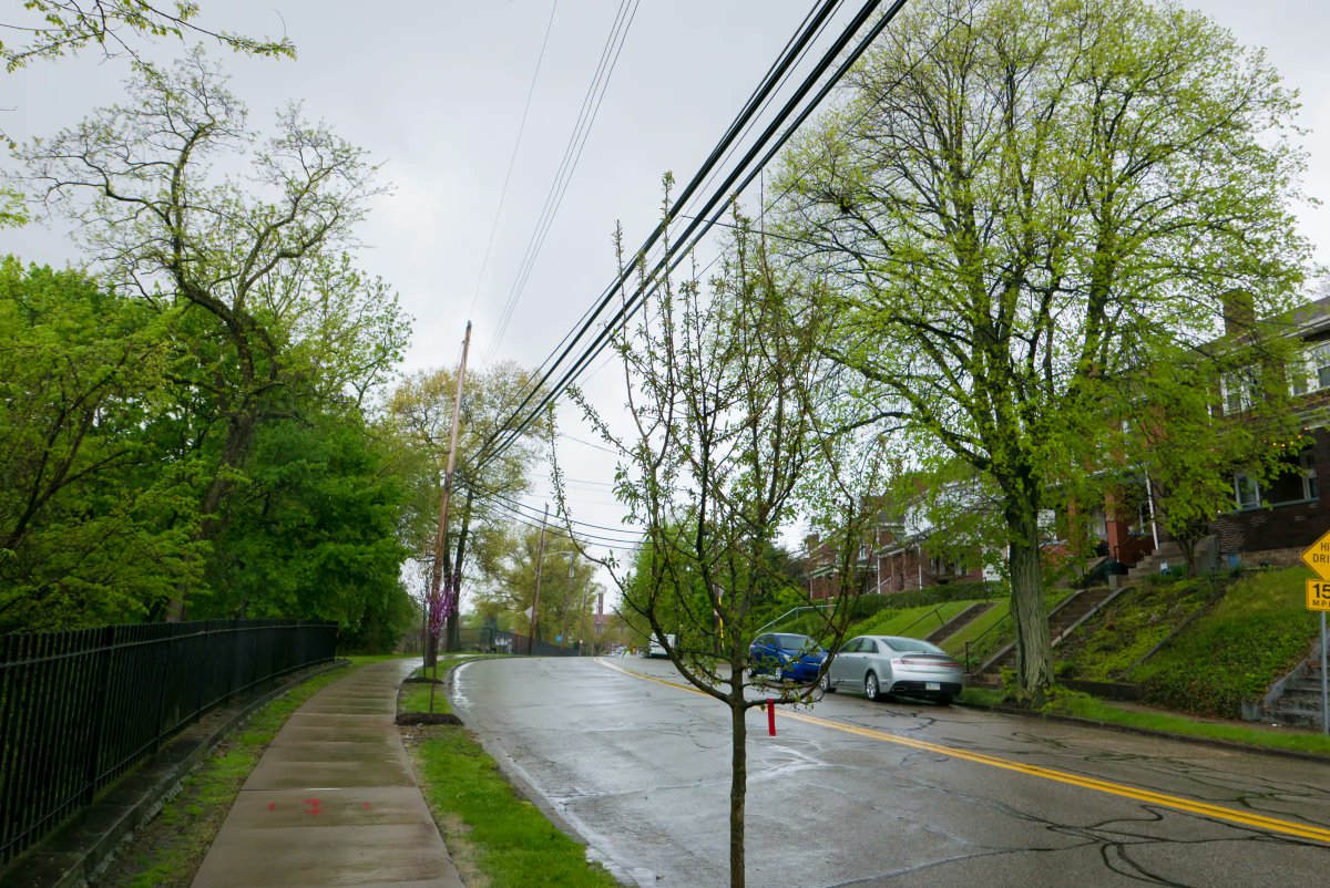 Duquesne Light Co. tweet media