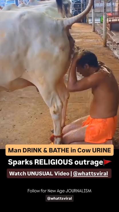 Syed Ali tweet media