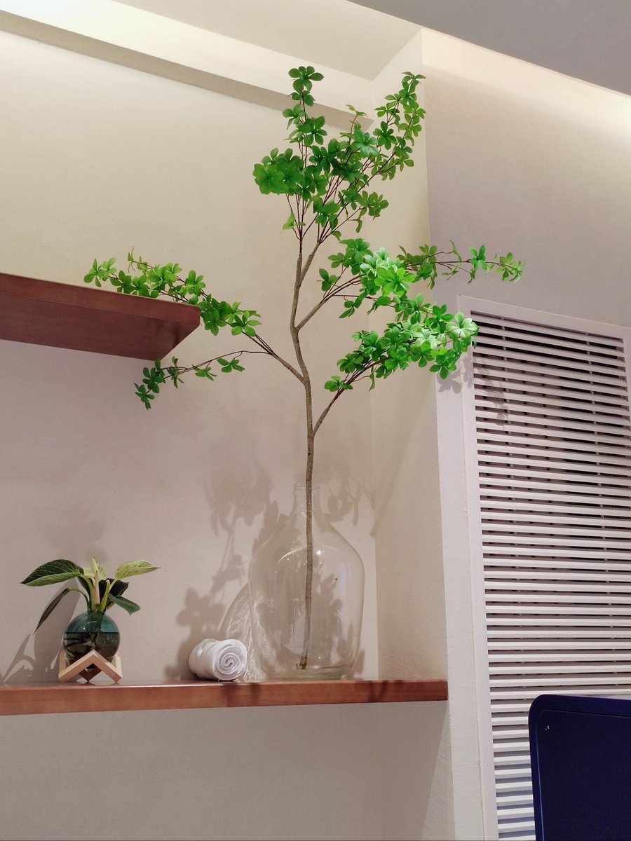 ROGÉRIO F. G. ROSSI tweet media