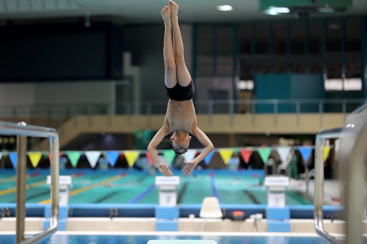 الاتحاد السعودي للسباحة tweet media