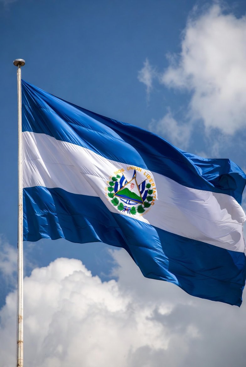 Salvador Reyes ₿ 👑 tweet media