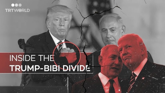 Lovable Liberal and his Old English sheepdog tweet media