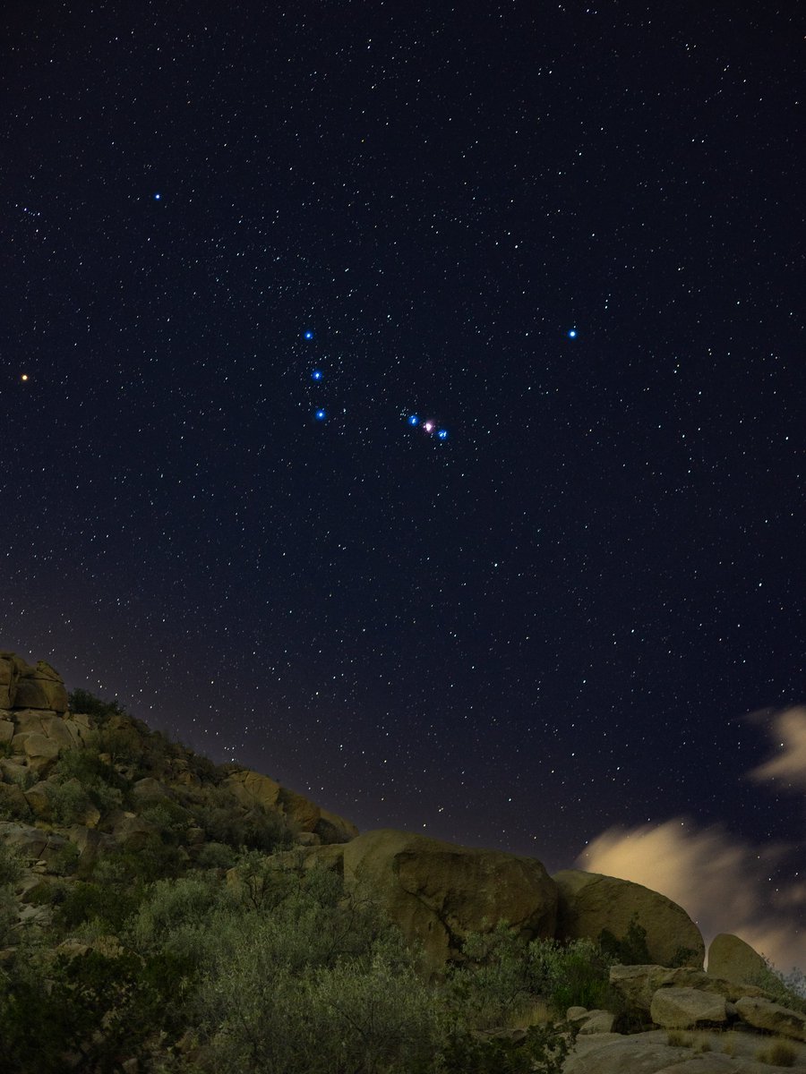 Mohammed tweet media