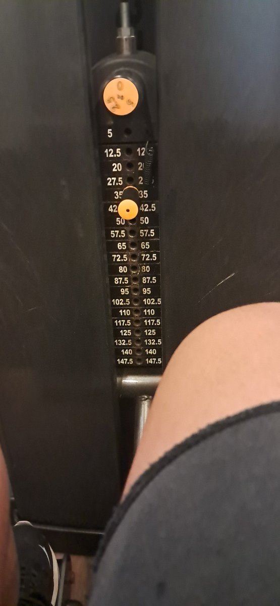 {- ♡ Senhorita Kroeff ♡-} tweet media