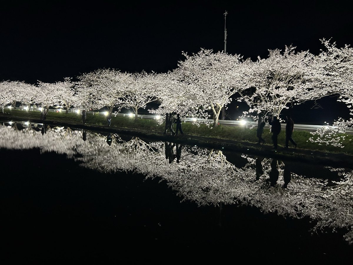 浜の小魔人 tweet media