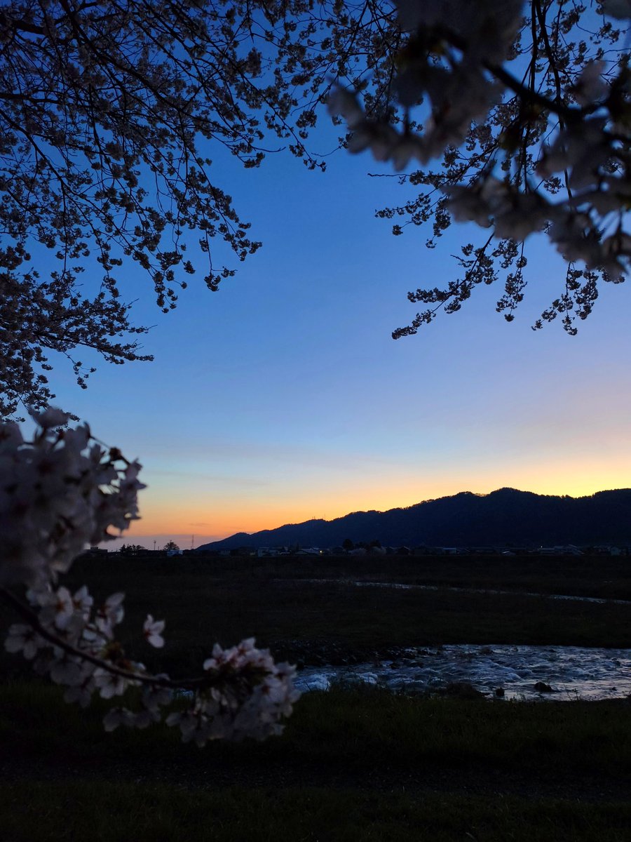 愛場商店 tweet media