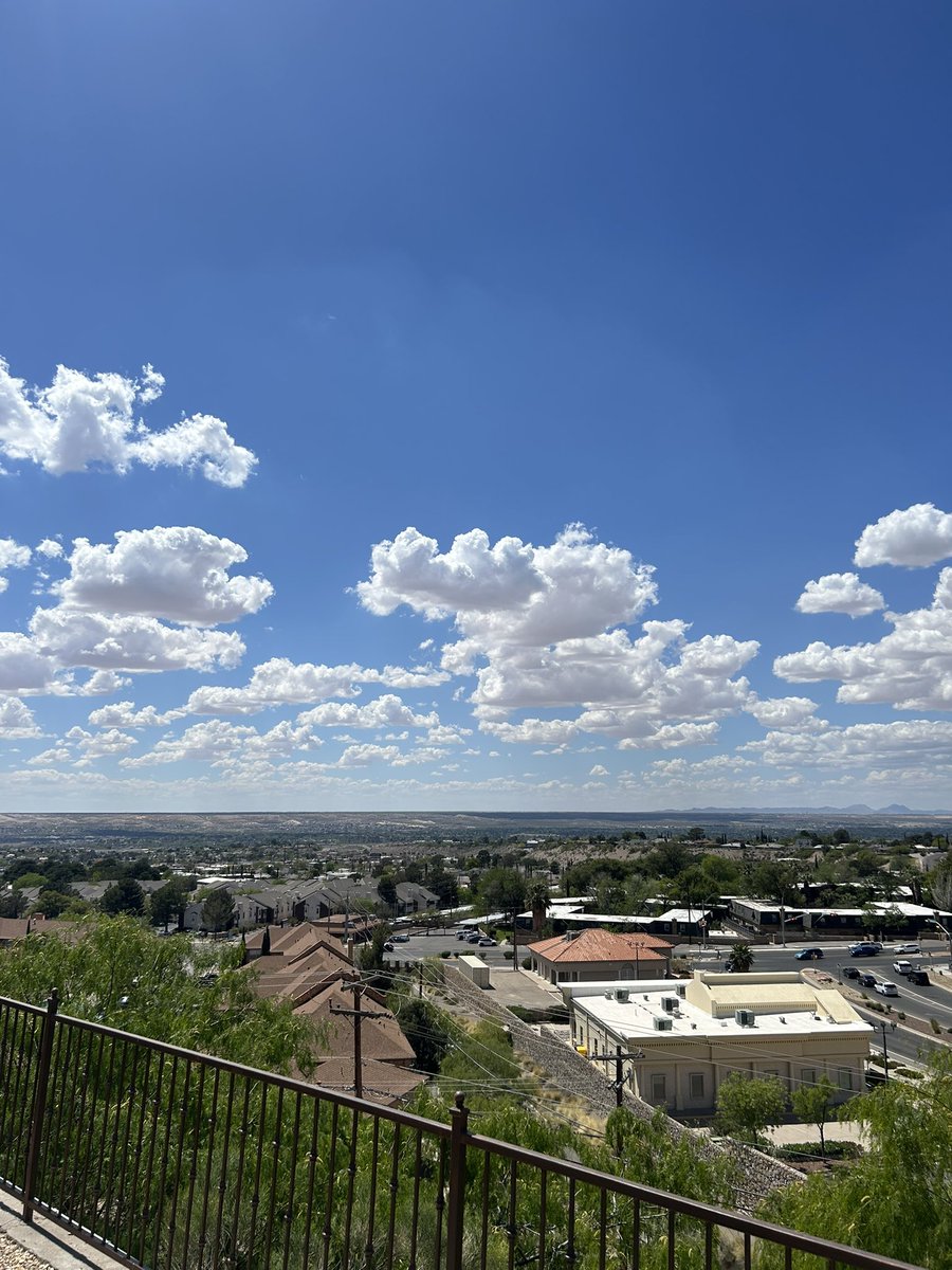 David Nino Rodriguez tweet media