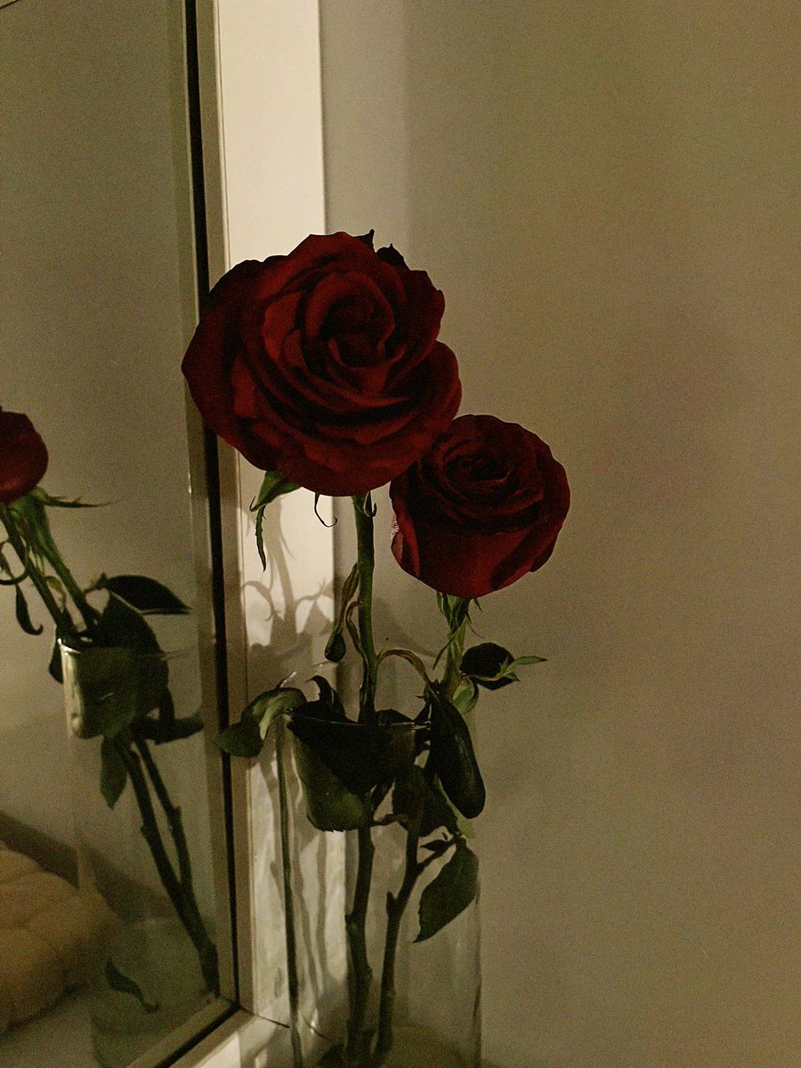 خانم بالشتی tweet media