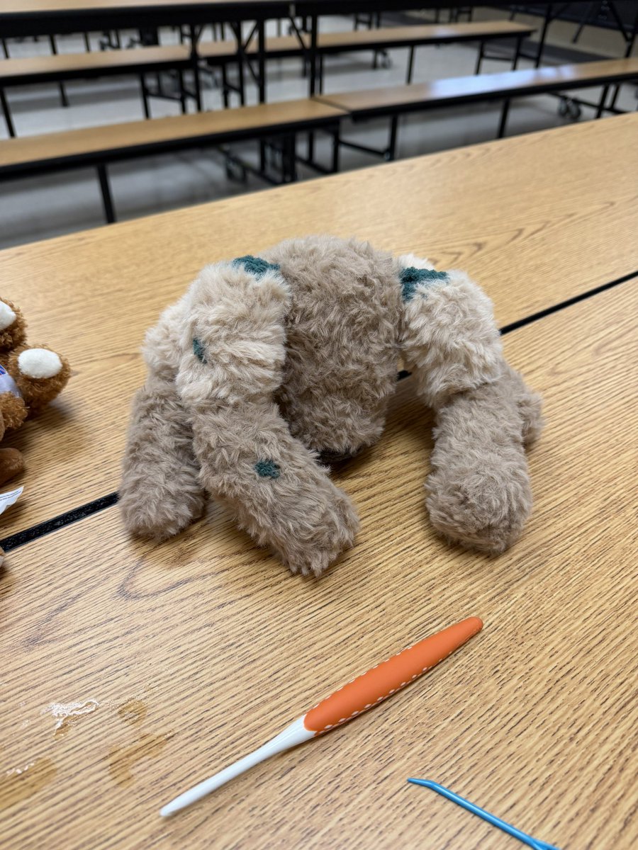 project hail jade🪐🚀💫 tweet media