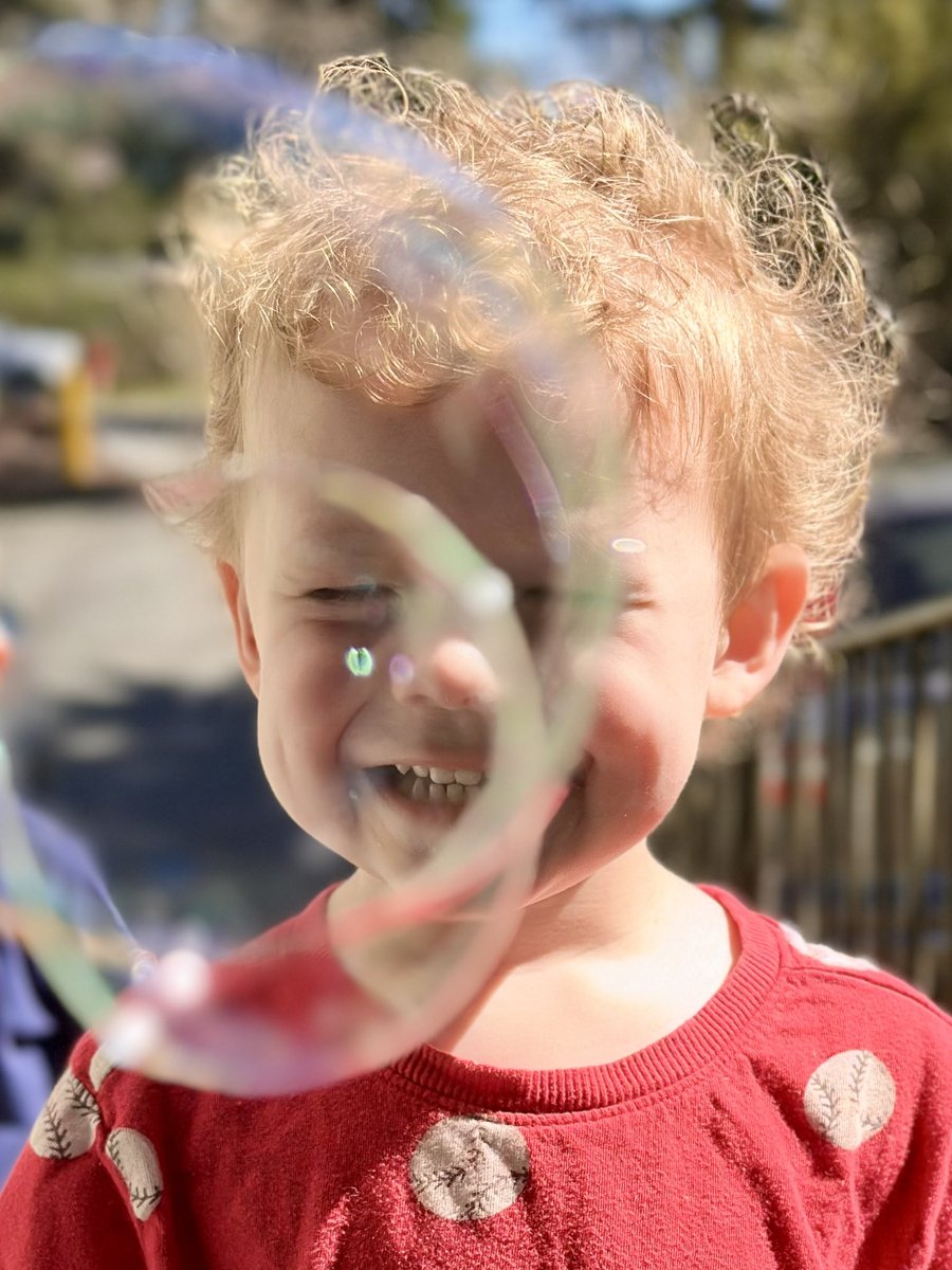 Maggie Rothenberger tweet media