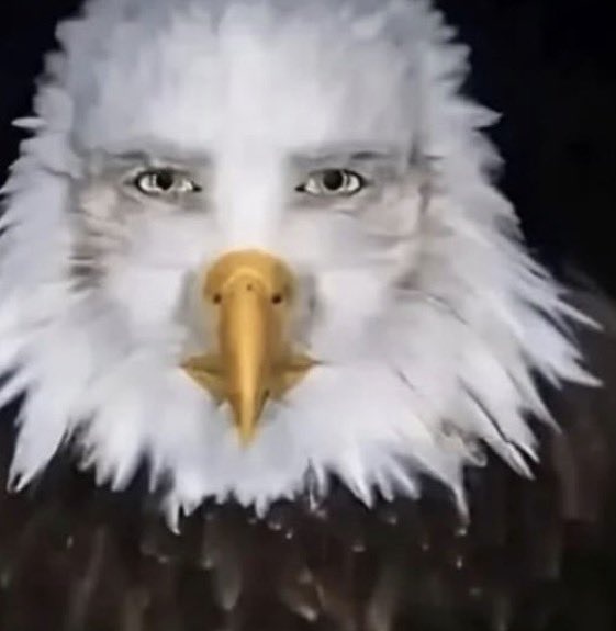 Jaredgato tweet media