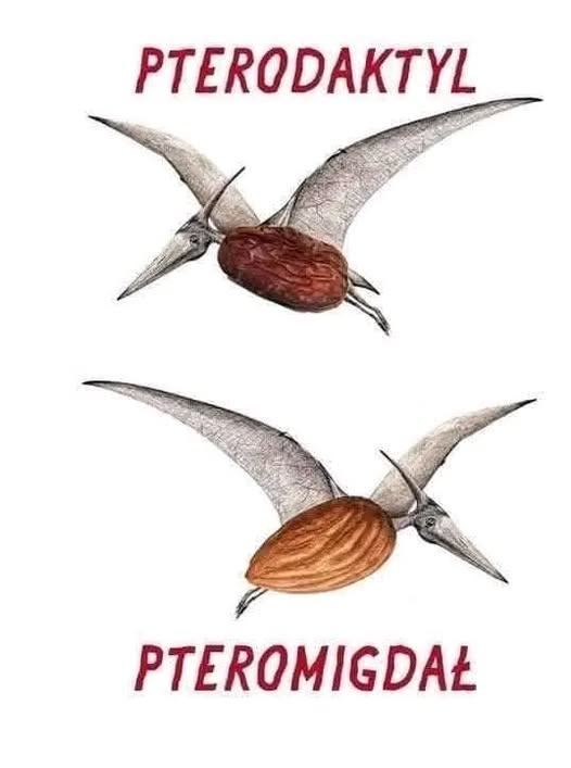 Bruno Jasieński tweet media