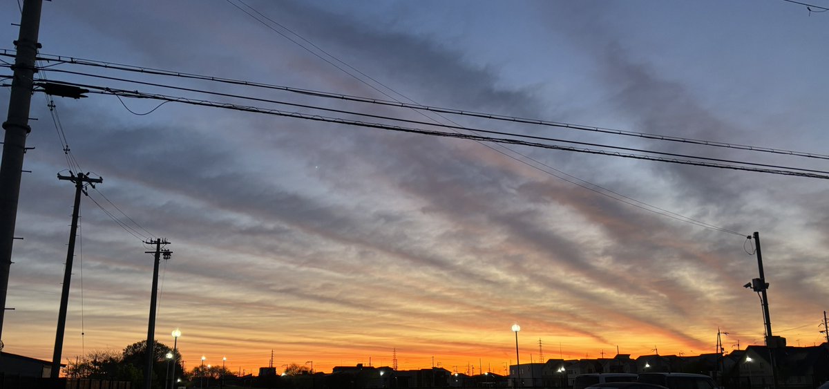 めろだ tweet media