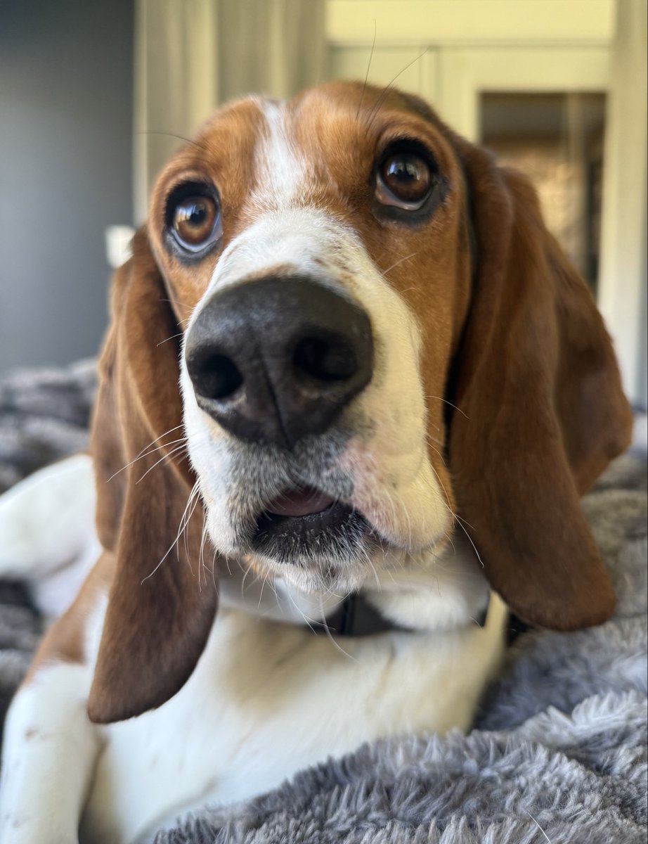 Alison Atwell tweet media