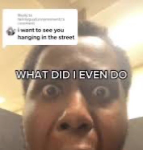 harley ˶ᵔ ᵕ ᵔ˶ tweet media