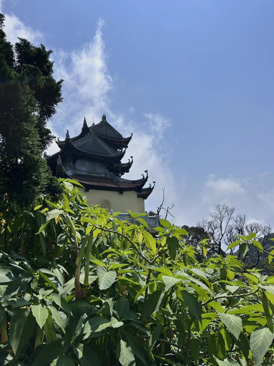 TAEXHADID tweet media