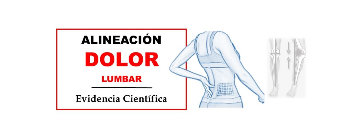 Check your MOtion® tweet media