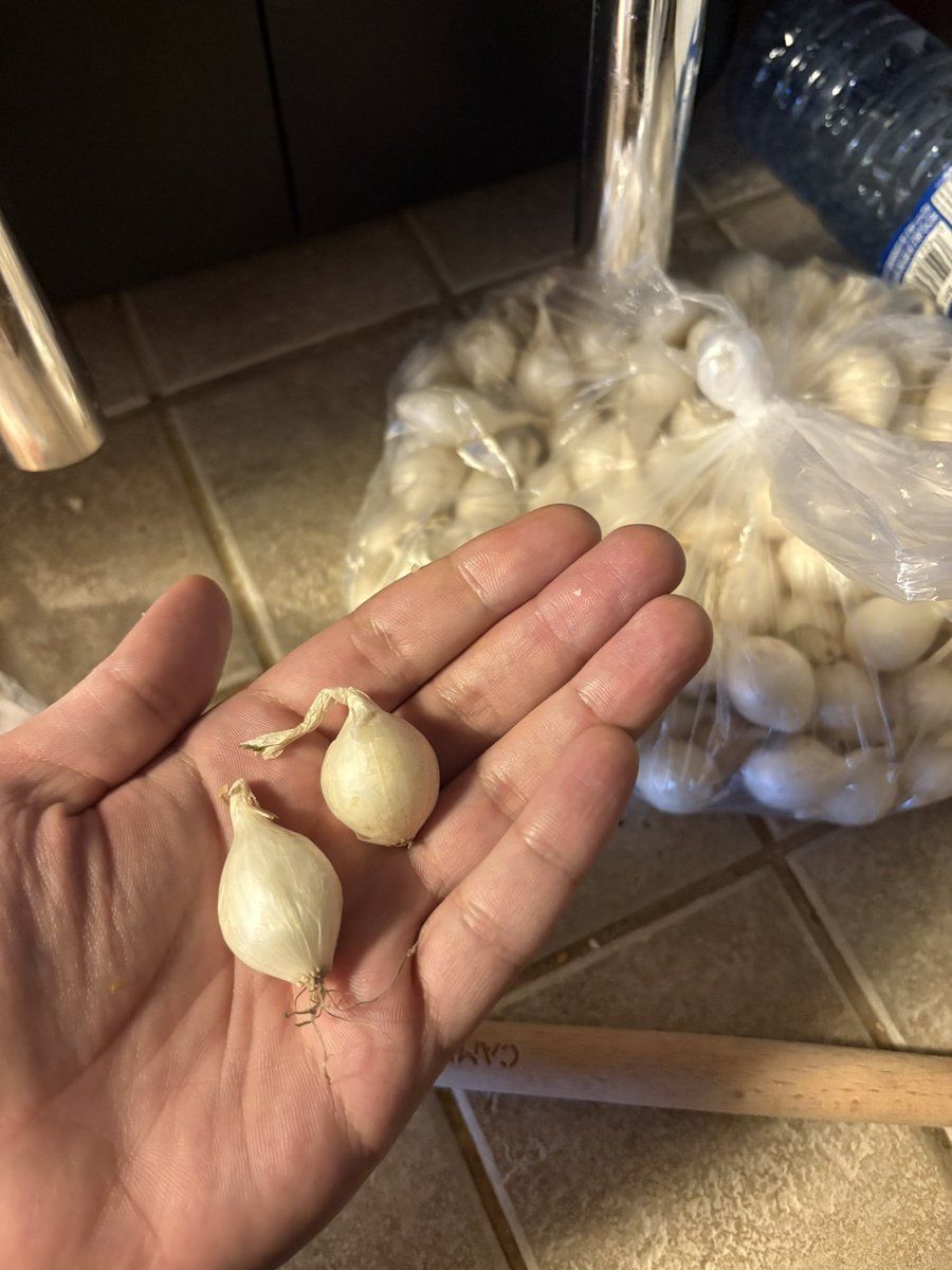 Kassie AF tweet media