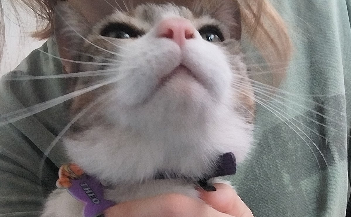 cam⭑.ᐟ tweet media