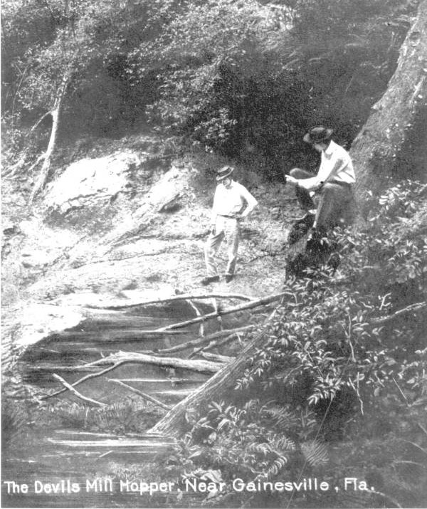 Florida State Parks tweet media