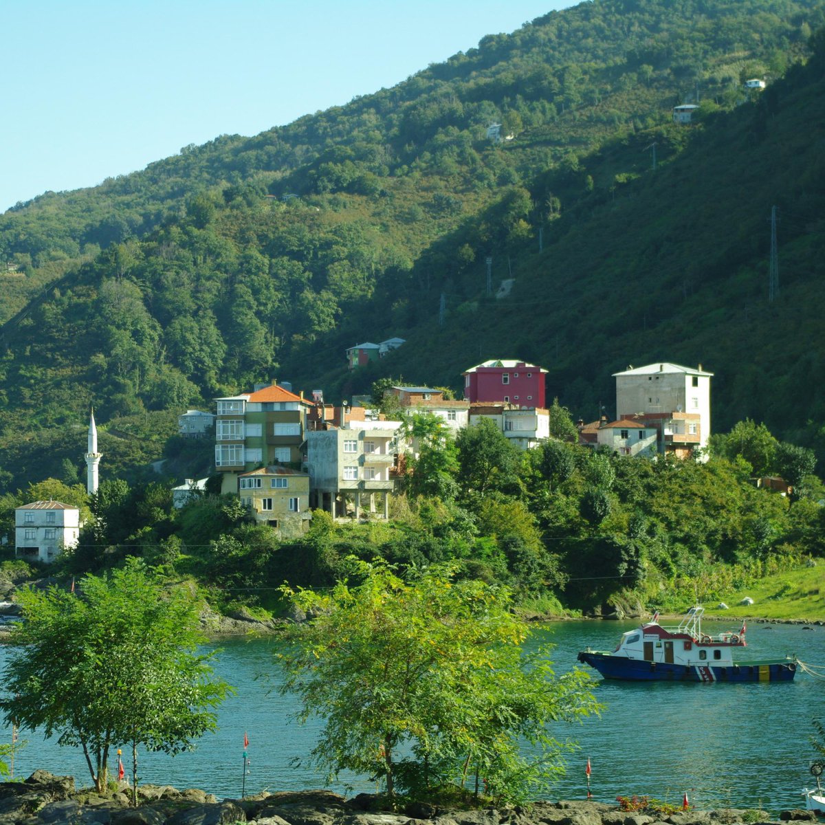 TTA Grup tweet media